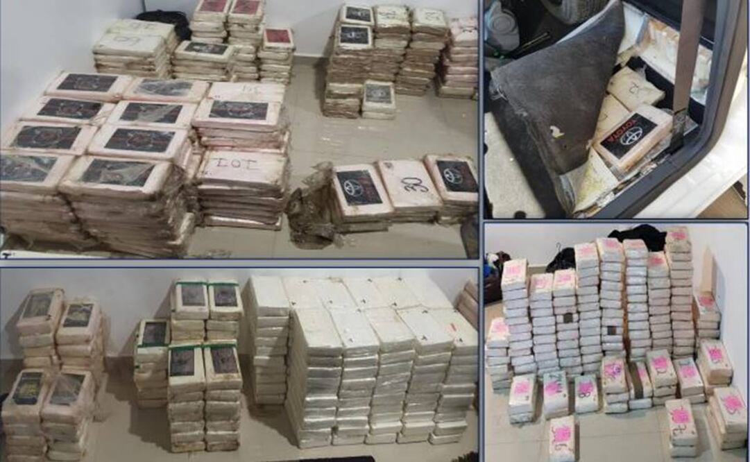 800 paquetes de 1kg de clorhidrato de cocaína. Foto: Especial