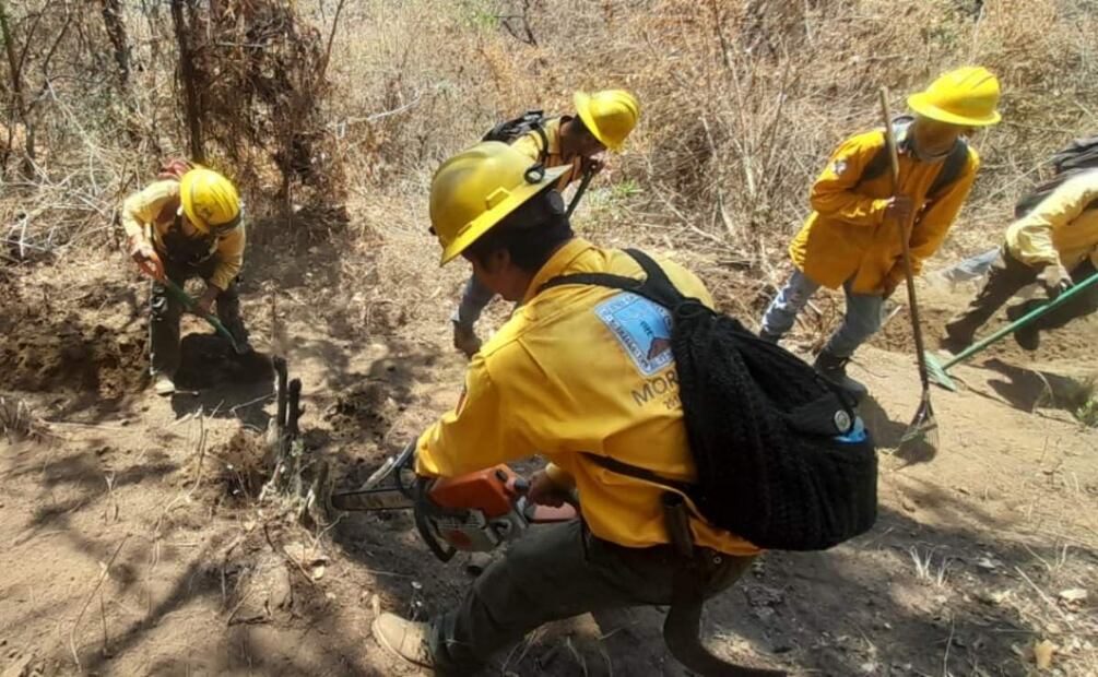 Brigadistas combaten incendio forestal en Tepoztlán, Morelos (10/04/2025). Foto: Especial