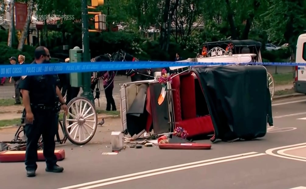 Un joven indio murió al volcarse un carruaje tirado por caballos en el que viajaba junto con su familia, en Central Park, Nueva York. Foto: AP