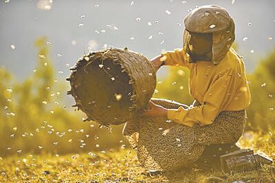 “Honeyland” presenta a una de las últimas apicultoras salvajes