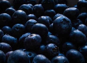 Blue Ruta: cosecha mora azul en el corazón de Zacatlán