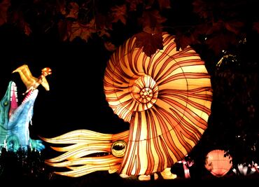 FOTOS: Las mejores imágenes del día en EL UNIVERSAL