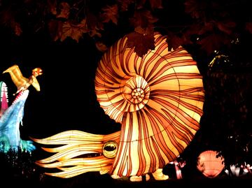 FOTOS: Las mejores imágenes del día en EL UNIVERSAL