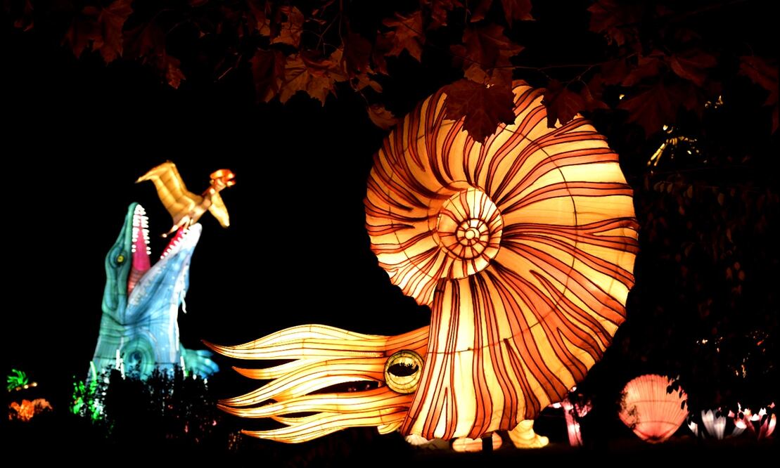 Esculturas de luz gigantes exhibidas en la exposición titulada "El Jurásico en camino a la iluminación" en París, Francia. Foto: AFP