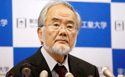 Yoshinori Ohsumi gana el Premio Nobel de Medicina