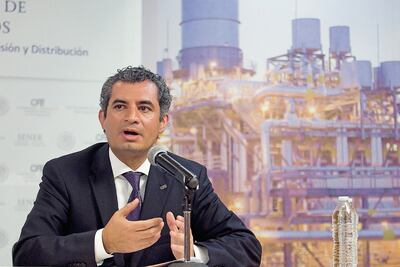 PRI, dispuesto a colaborar con MP en caso Duarte: Ochoa Reza