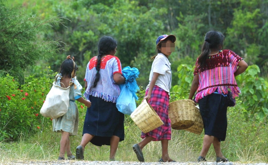 Foto: Archivo EL UNIVERSAL