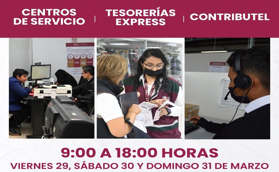 Tenencia vehicular. Foto: Especial