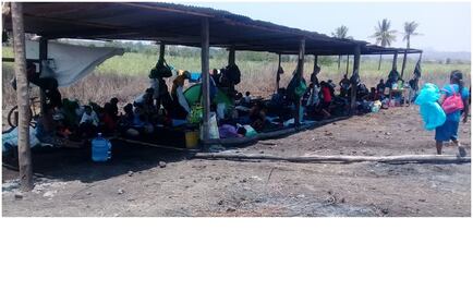 Solicitan azucareros seguridad a la Sedena en Chiapas