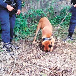 Suma fiscalía 28 cuerpos rescatados de fosas ilegales 
