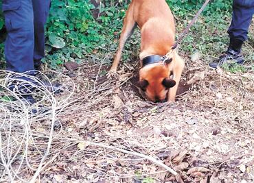 Suma fiscalía 28 cuerpos rescatados de fosas ilegales