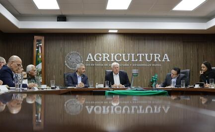 Michoacán y Secretaría de Agricultura acuerdan ruta para certificación y regulación del aguacate