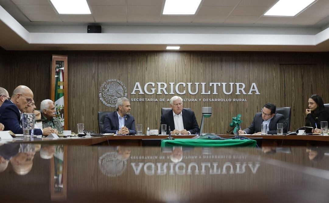 En la reunión que tuvieron el gobernador Alfredo Ramírez Bedolla, y el secretario de Agricultura y Desarrollo Rural (Sader), Víctor Villalobos Arámbula, se aseguró que la mesa técnica dará cumplimiento a normas ambientales e indicadores para el cultivo, producción y comercialización del aguacate en el país y en el extranjero. Foto: Especial.