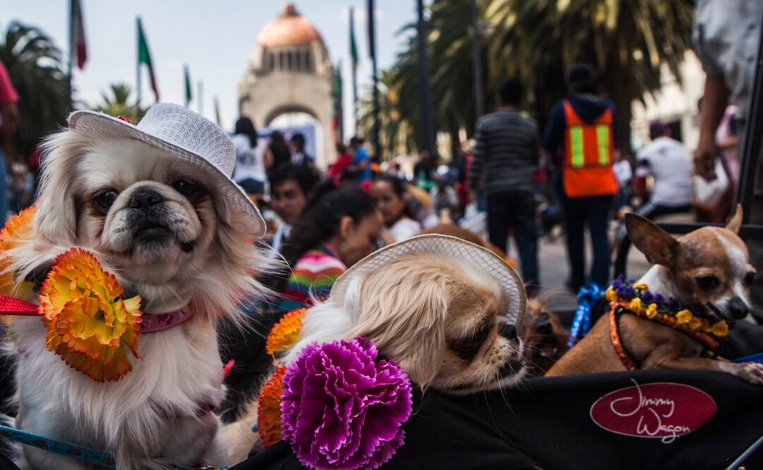 (Foto: Archivo/El Universal)