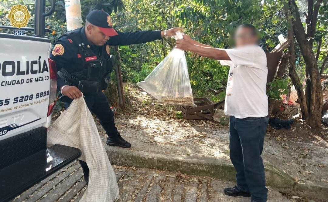 Rescatan a víbora de tres metros dentro de domicilio en Álvaro Obregón . Foto: Especial