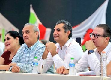 Consejo político del PRI decidirá método de elección de candidatos: Ochoa