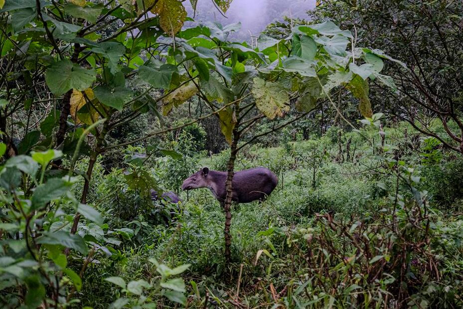 Foto: Eduardo Peraza
