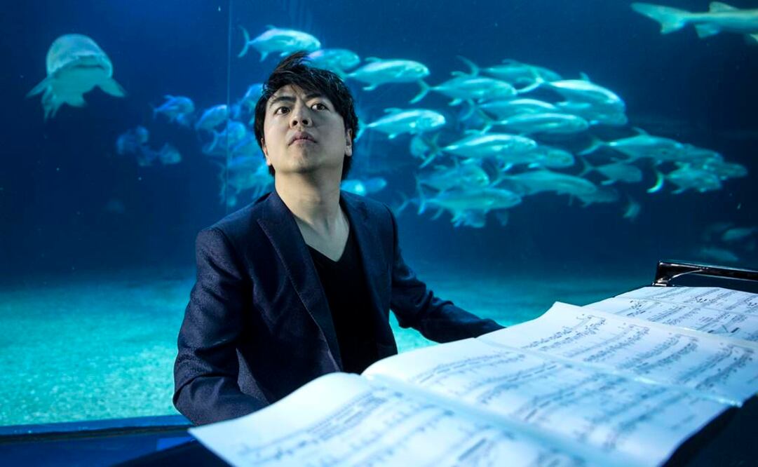 Lang Lang estuvo rodeado de 7 mil metros cúbicos de agua por los que deambulaban tiburones grises, rayas, tiburones toro y peces guitarra, entre otras especies propias de mar abierto. FOTO: Manuel Bruque/EFE.