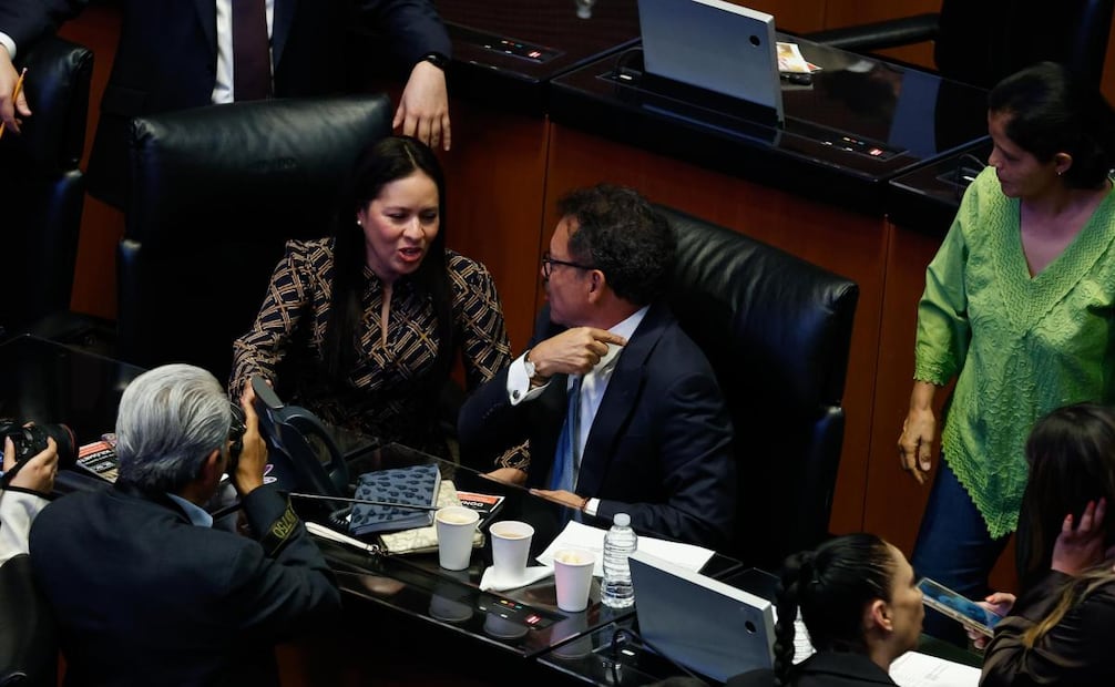 Aspectos de la sesión ordinaria en el pleno del Senado de la República, donde hoy se discutió un proyecto de decreto en materia de feminicidio, así mismo el Senado avaló a Amalia Ortiz Armendiz como jueza federal, y a Yolanda Romero Vazquez y Alejandro Perea Ramirez como magistrados de circuito. Foto: Diego Simón Sánchez / EL UNIVERSAL