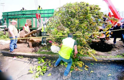 Modificarán trazo de doble túnel en Mixcoac: Sobse