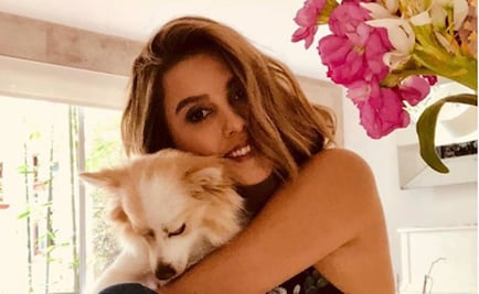 ¿Tronaron o no Paulina Goto y Horacio Pancheri?