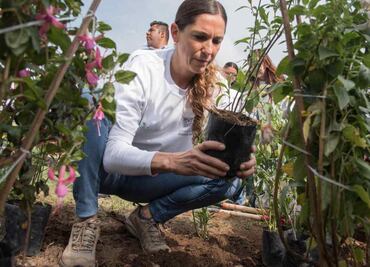 Morena en Congreso CDMX anuncia que respaldará ratificación de Mariana Boy frente a la PAOT