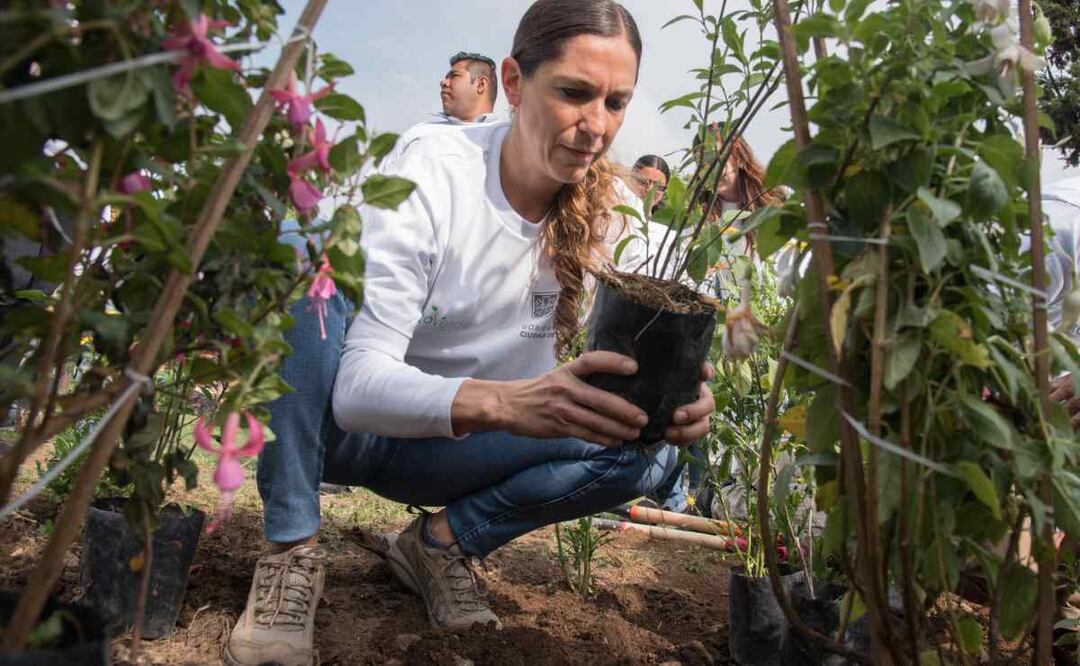 Foto: Archivo/El Universal/ En la imagen, Mariana Boy, Procuradora Ambiental y del Ordenamiento Territorial de la capital.
