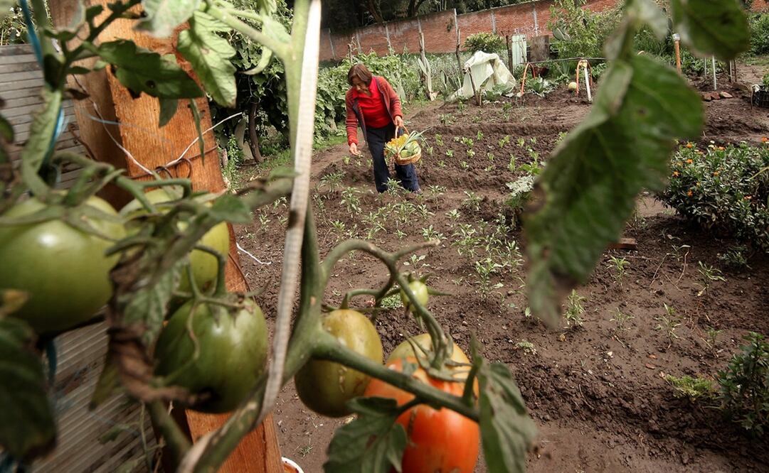 Foto: Archivo / EL UNIVERSAL