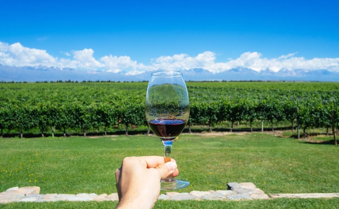El Malbec es considerado como el vino argentino más emblemático./Fotos: Istockphoto