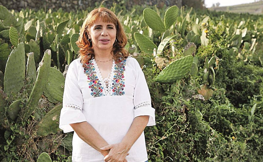 David Fuentes/ EL UNIVERSAL.