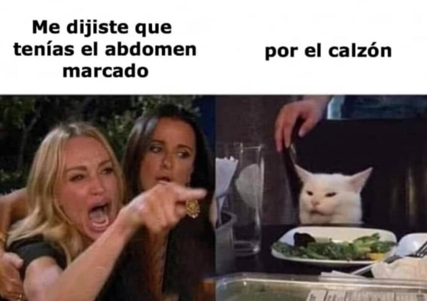 Los mejores memes del gato