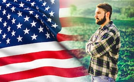 Buscan trabajadores extranjeros para cuidar ganado en Minnesota: Salario y requisitos
