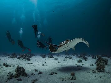 Proyecto Seabed 2030: mapeo total de fondos marinos