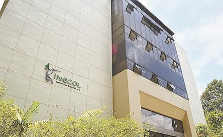 Ni para la luz tienen los Centros de Investigación