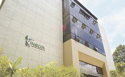 Ni para la luz tienen los Centros de Investigación 