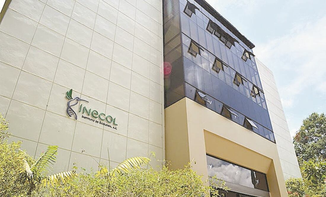 El Instituto de Ecología, en Xalapa, canceló el uso de aire acondicionado, así como de cargadores de celulares, tabletas electrónicas y equipos semejantes. Foto: Instituto de Ecología