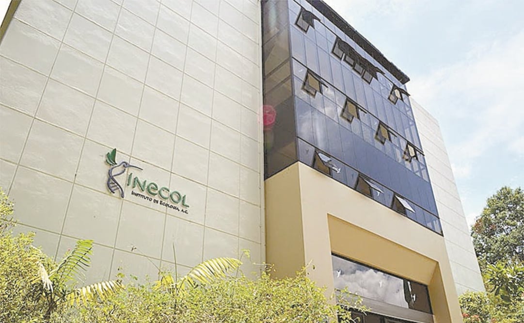 El Instituto de Ecología, en Xalapa, canceló el uso de aire acondicionado, así como de cargadores de celulares, tabletas electrónicas y equipos semejantes. Foto: Instituto de Ecología