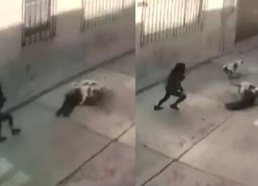 Video. Perros pitbull atacan y arrastran por calles del Edomex a niña de 3 años