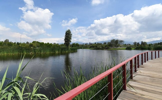 Anuncian creación del Centro de Visitantes en el Parque Ecológico de Xochimilco; será un referente de orientación y educación ambiental 