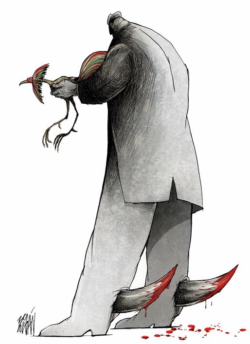 El gallo y las espuelas