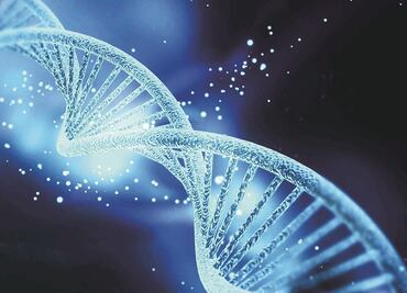 Decodifican genoma de la bacteria que originó la sífilis