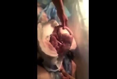 No era perro, era tlacuache, dice restaurante de Chihuahua