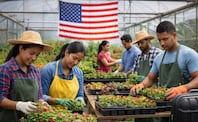 Vivero, trabajo en Estados Unidos. Foto: ChatGPT