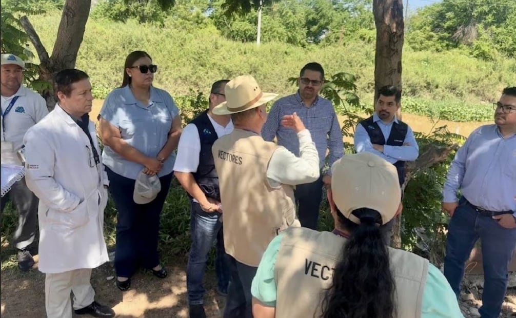 Salud Sinaloa refuerza vigilancia por gusano barrenador en un canino en Culiacán; llaman a tener buena higiene animal.
Foto: Especial.