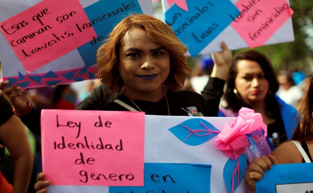 A transgender woman participates in a demonstration. The front sign reads: "Gender identity law now" - Photo: Jose Cabezas/REUTERS