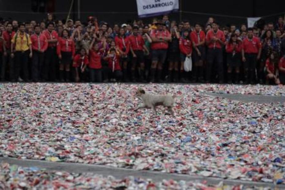 Con latas forman flor de lis más grande del mundo en el Zócalo