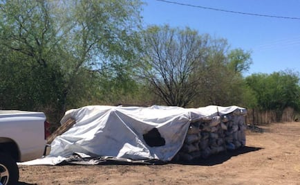 Aseguran 9 toneladas de carbón vegetal en Sonora