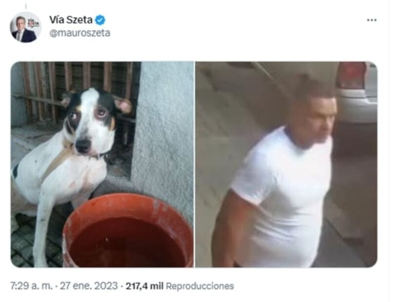 VIDEO: Saca a pasear a perrita y la abandona amarrada en una reja, vecinos la rescatan