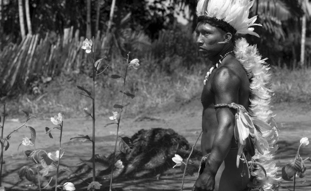 "Es una película con una historia muy profunda y bien desarrollada", dijo el jurado sobre la cinta de Ciro Guerra. FOTO: Archivo EL UNIVERSAL.