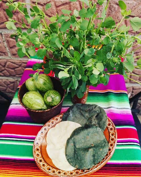 Foto: @antojochonita